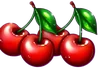 Symbol třešní Basket Bounty