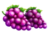 Symbol hroznů Basket Bounty
