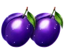 Symbol švestky Basket Bounty