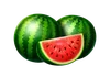 Symbol melounu Basket Bounty