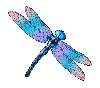 Symbol vážky Big Bass Splash 1000