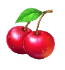 Symbol třešní Totally Hot