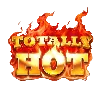 Totally Hot Totally Hot Logo ТИП: High Symbol